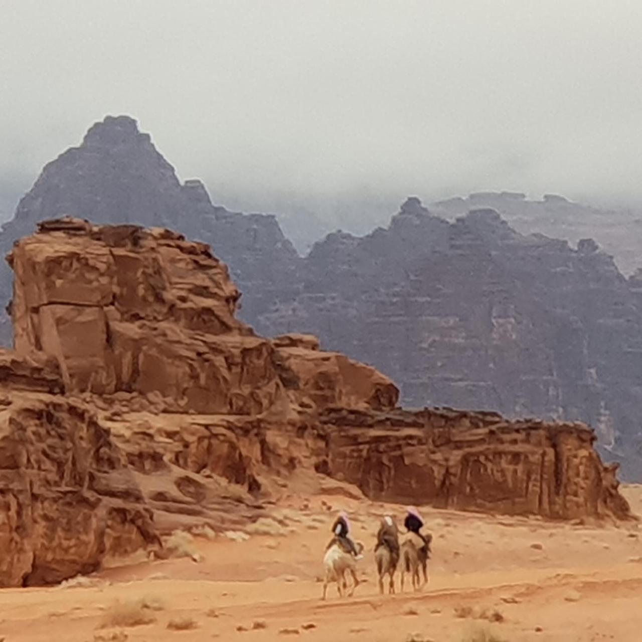 Real Bedouin Experience Tours & Camp Hotel Wadi Rum Exterior photo