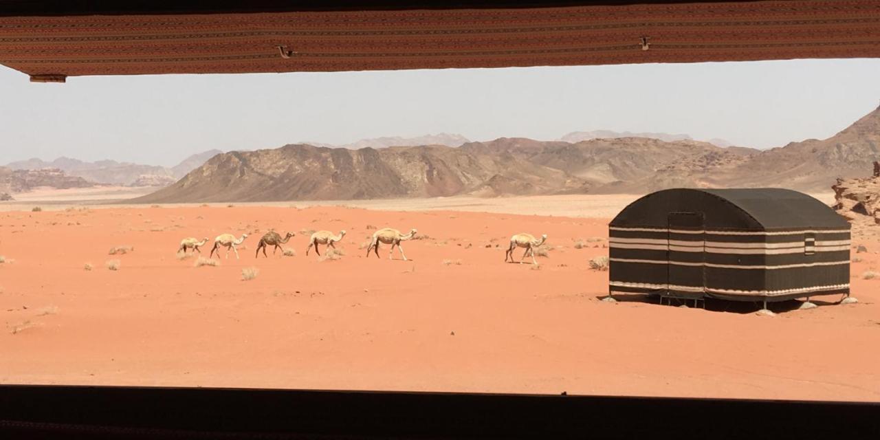 Real Bedouin Experience Tours & Camp Hotel Wadi Rum Exterior photo